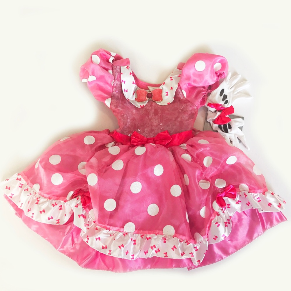 NWT Disney Princess Dress Costume